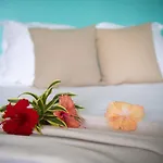 Bora Bora Romantic Studio